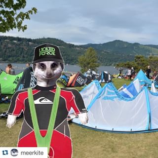  Boardshorts over wetsuit? @rich_sabo calls out the kooks in our latest issue. Tag your kookiest boardshorts photo with #sabosmack for your chance to win! Our favorite so far: #Repost from @meerkite... "When it's cold I wear my Meerkini over my wetsuit" 