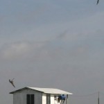 _-108-2