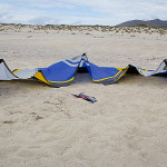 2012-peter-lynn-0199