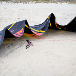 2012-peter-lynn-0228