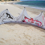 2013-wainman-hawaii-rabbit-white-0397