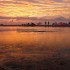 sunet kite