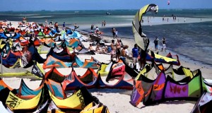 kitemasters-kites